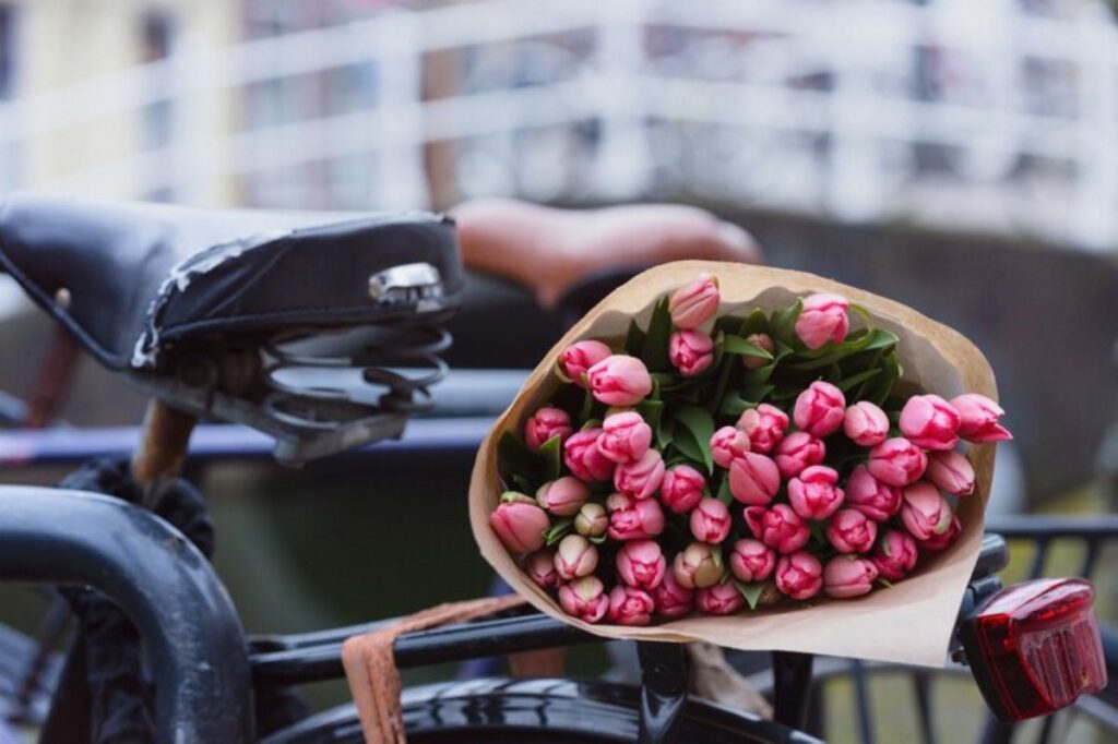 flower delivery st leonards