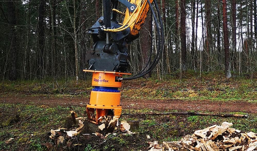 The Benefits of Hiring an Expert for Stump Removal