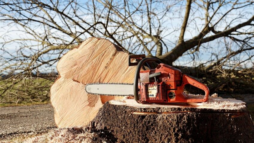 tree root grinder