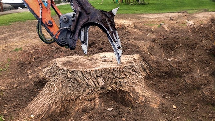 tree root grinder