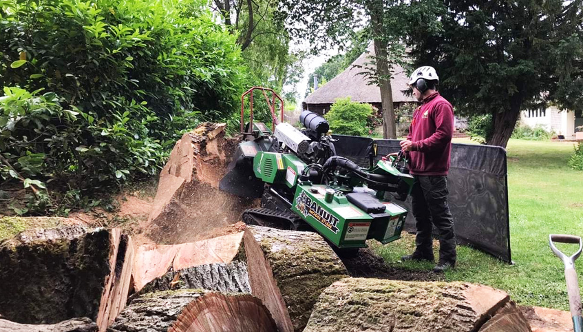 stump removal