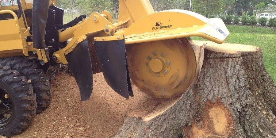 How to Use a Tree Root Grinder for Effective Results